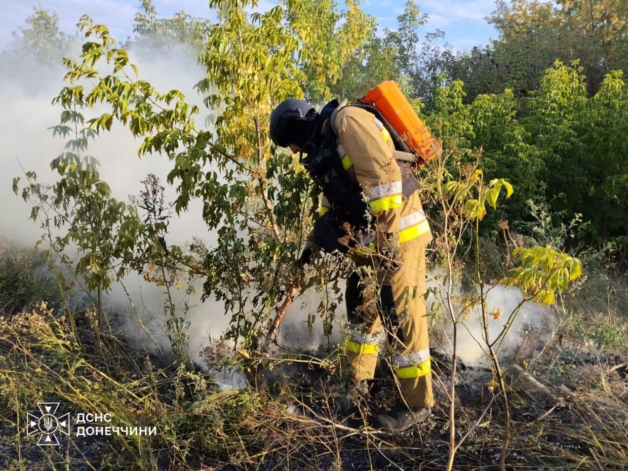 <em>У Краматорському районі рятувальники за минулу добу ліквідували 6 пожеж. Фото: ДСНС</em>