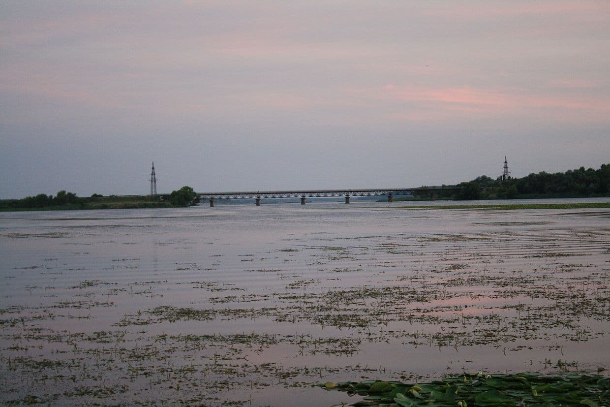 <em>Фото: wikipedia.org. Оскіл</em>