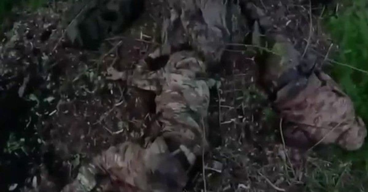 Знищений російський окупант. Скриншот з видео ССО