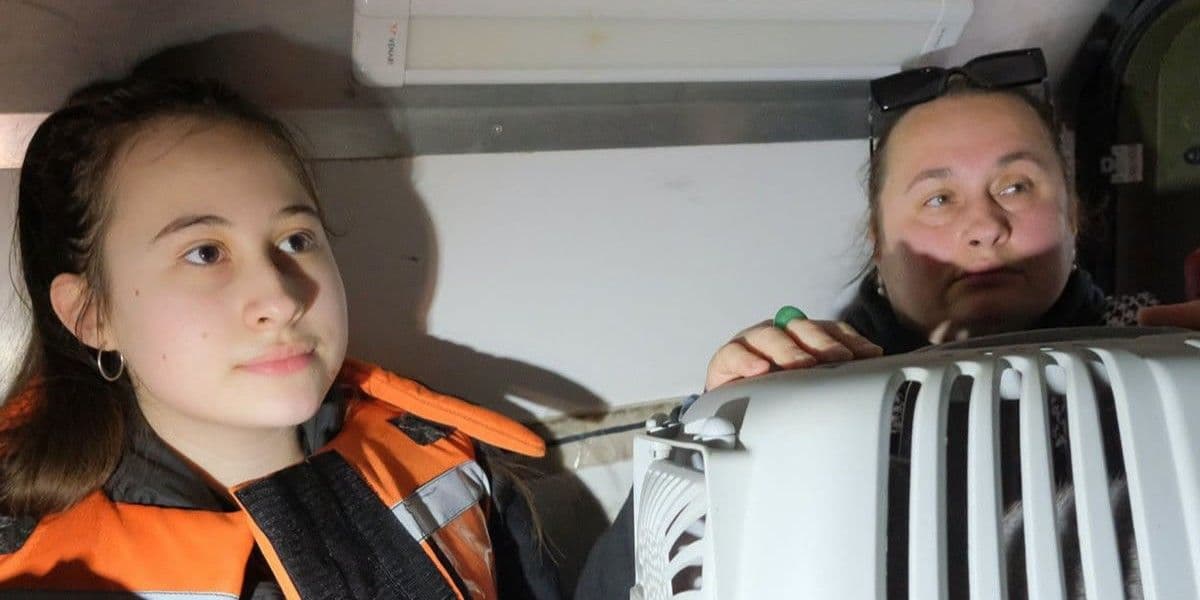 Під гул дронів: ювенальна поліція та ДСНС евакуювали з Краматорська 2 родини з дітьми (фото, відео)