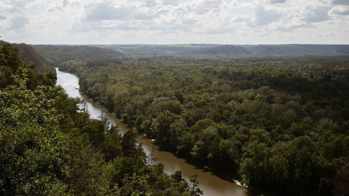 <em>Річка Сіверський Донець, Донецька область, липень 2023 рік. Getty Images/Andre Alves/Anadolu Agency via Getty Images</em>