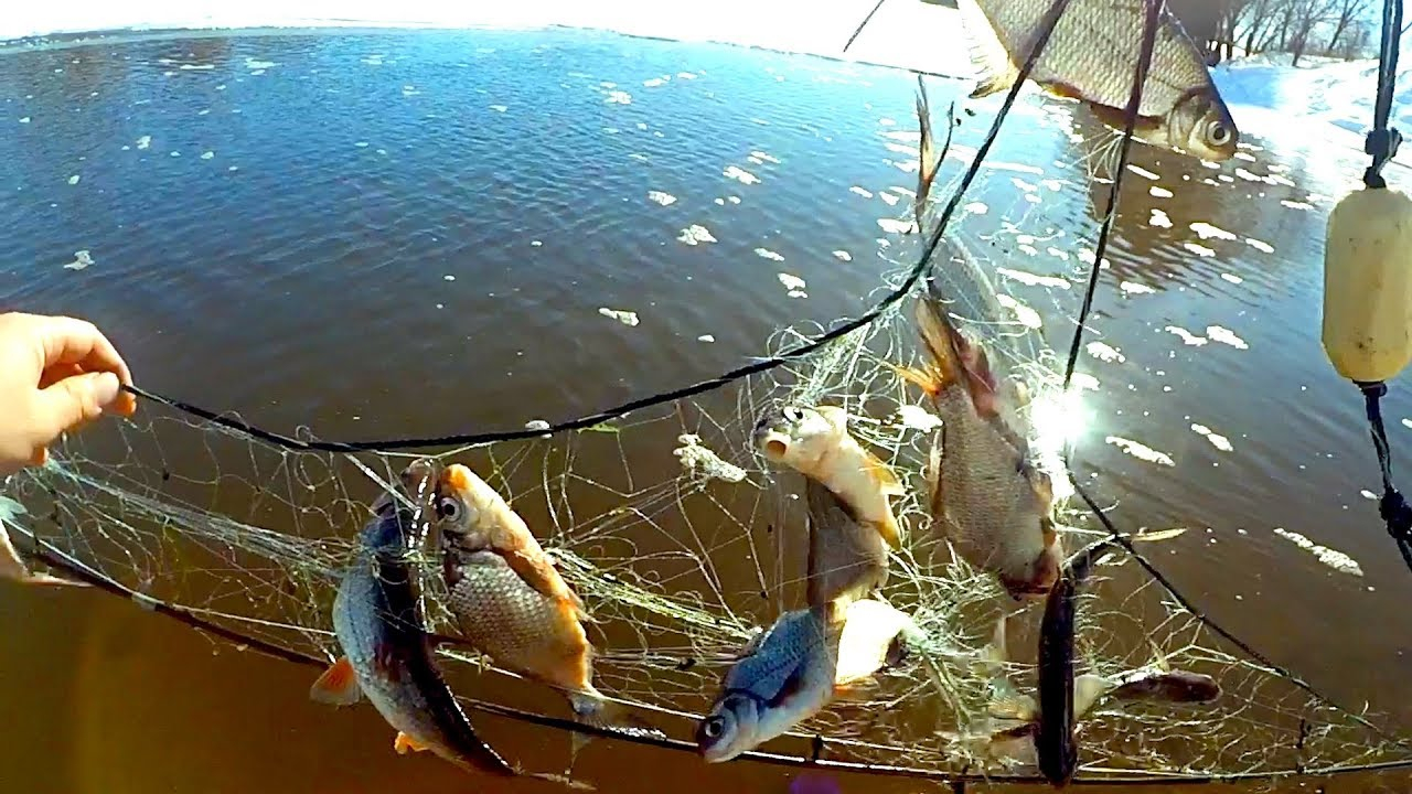 На Луганщине действуют ограничения на ловлю рыбы