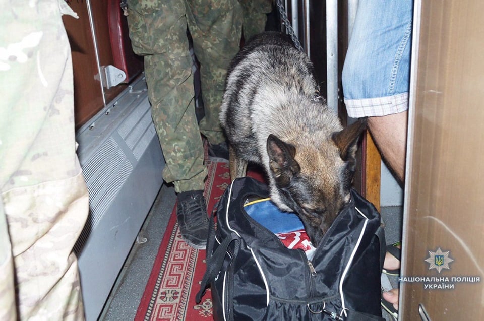На Луганщине мужчина выкинул из окна вагона сумку с гранатами