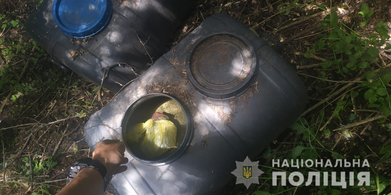 В Луганской области нашли около 20 килограммов наркотического растения