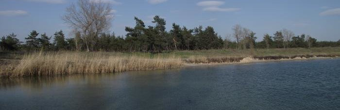 В Северодонецке начали заполнять водой озера Чистое и Парковое