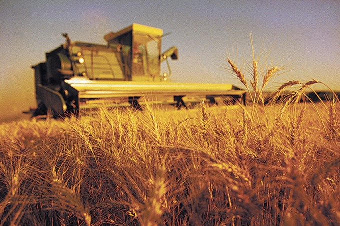 Фермеры и аграрии Луганщины рассказали о своих планах по сбору зерна за этот сезон