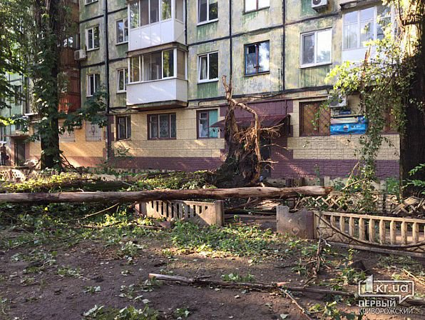 Днепропетровская область пострадала от стихии: повалены деревья и повреждены здания (фото)
