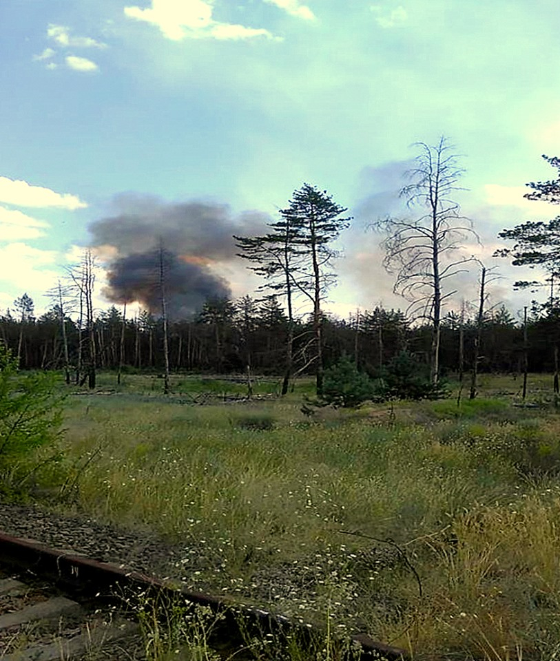 На линии разграничения в Луганской области горит лес. Тушить не могут из-за минных полей
