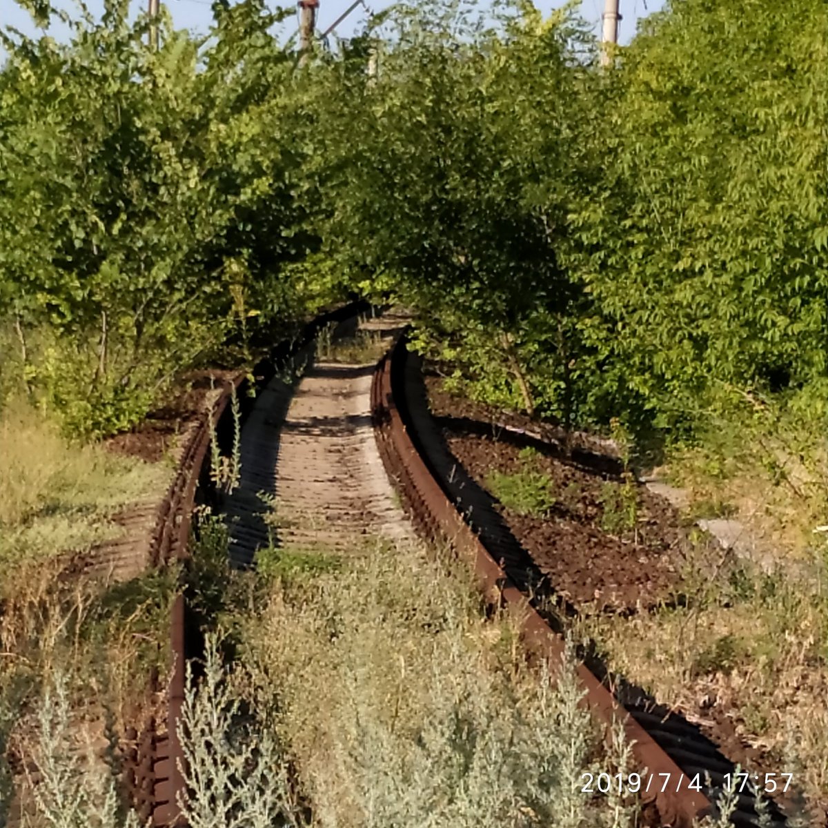 В сети появились снимки ржавой железной дороги, по которой 5 лет назад ходил поезд "Интерсити" в Донецк