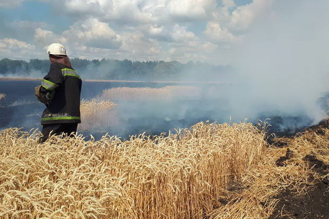 В двух областях востока Украины пожарные боролись с пожаром на полях (видео, фото)