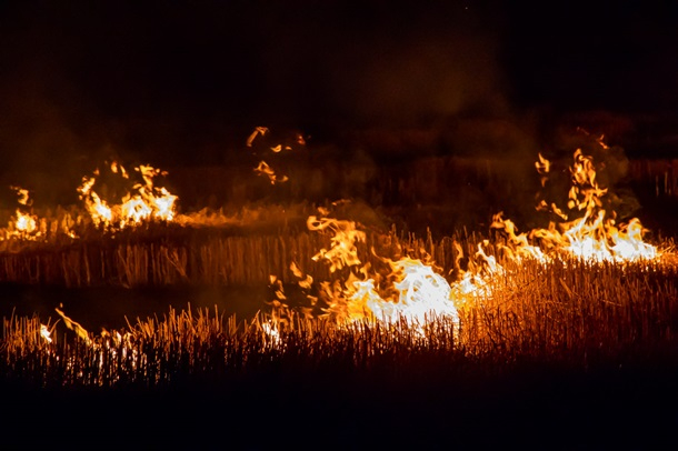 В Луганской, Донецкой и Запорожской областях объявлен повышенный уровень пожарной опасности