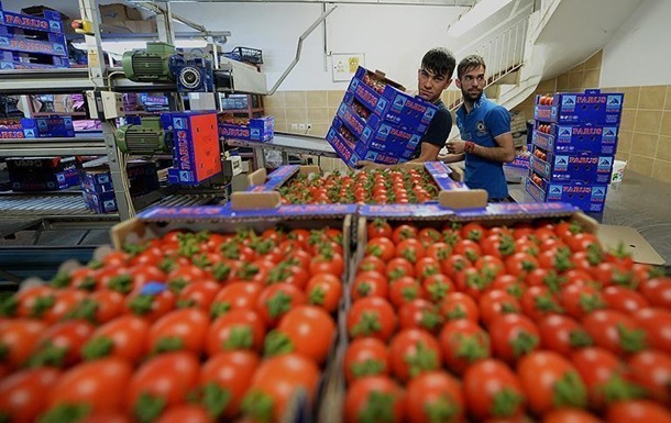 Украина побила рекорд по импорту помидоров и огурцов