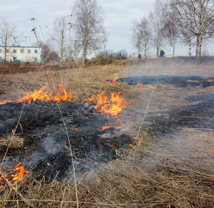 Массовые пожары в Запорожской области 