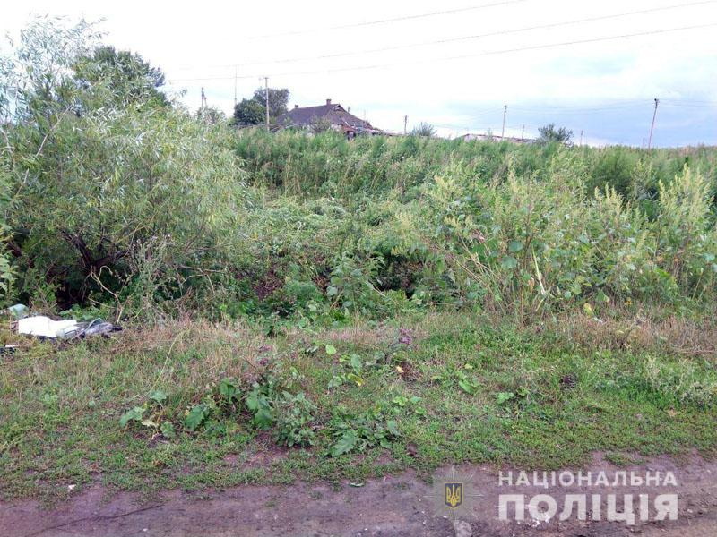 В Славянске полицейские обнаружили гектар конопли