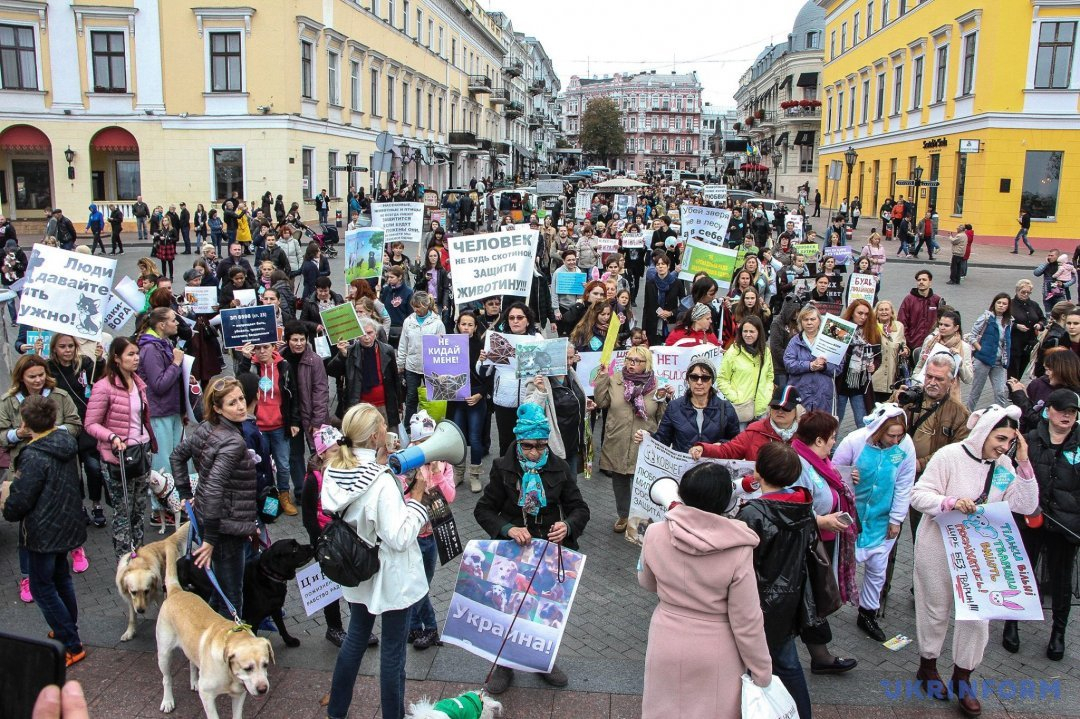 В Украине пройдет Всеукраинский марш за права животных