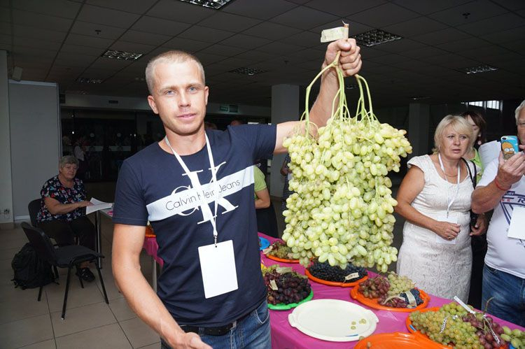 Фестиваль виноградарей прошел в Запорожье (фото)