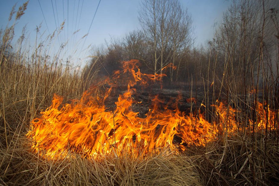 Пожарная опасность наивысшего уровня объявлена в Луганской области