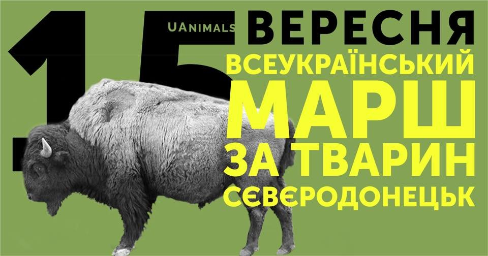 В Северодонецке состоится марш в поддержку животных
