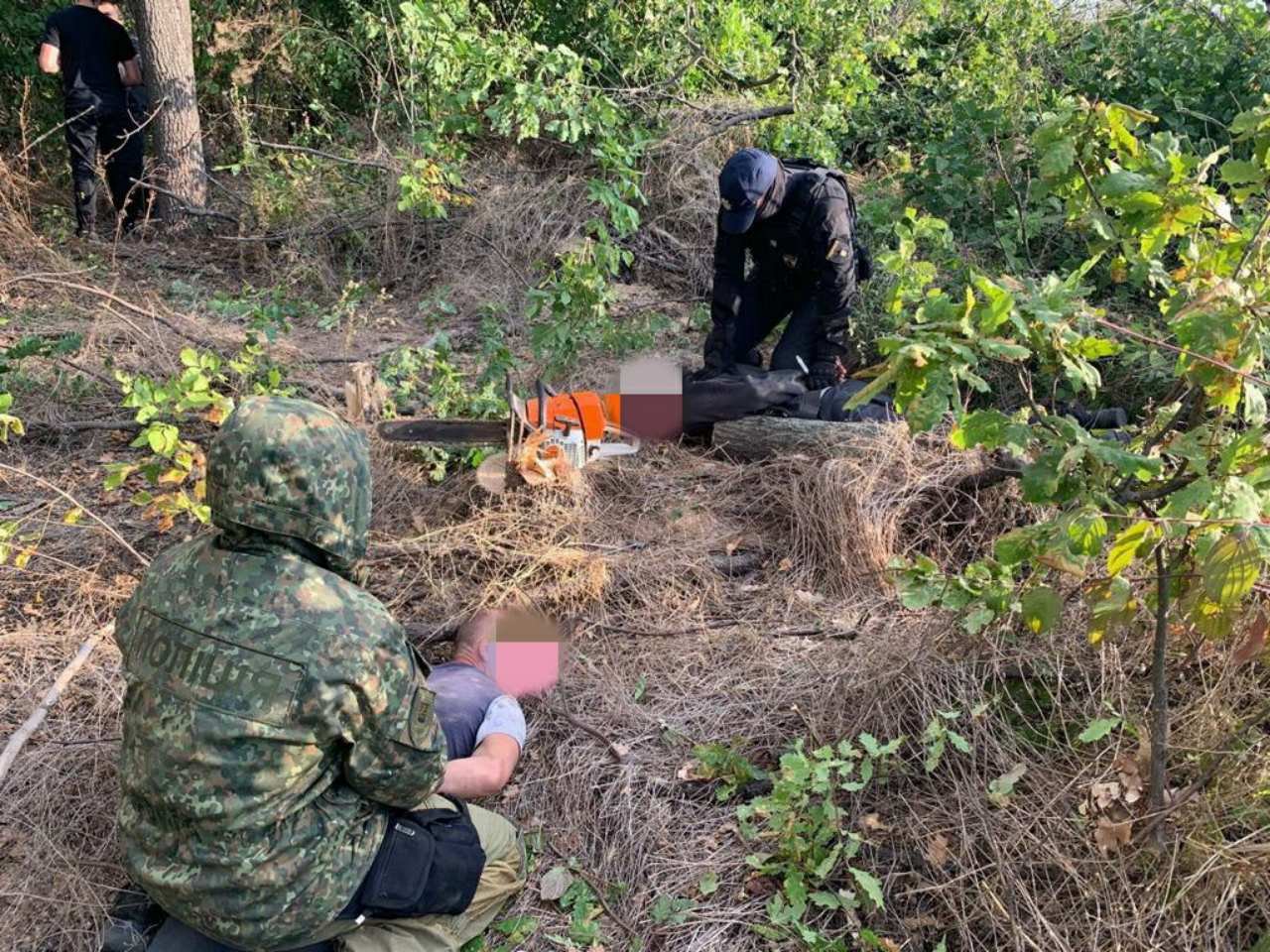 Банду "черных" лесорубов задержали в Донецкой области. Ущерб – 1 млн грн (фото)