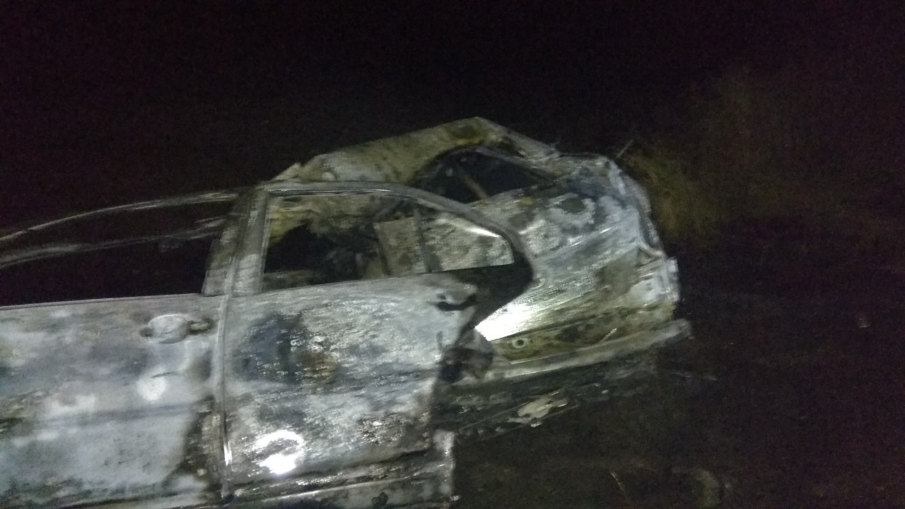 На Донетчине при ДТП загорелось авто - есть погибшие (фото)