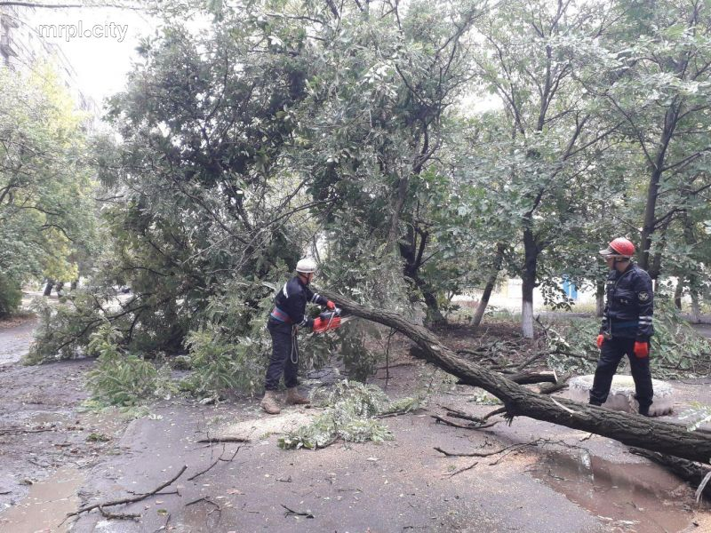 Непогода в Мариуполе: ветер повалил деревья, обесточены десятки улиц