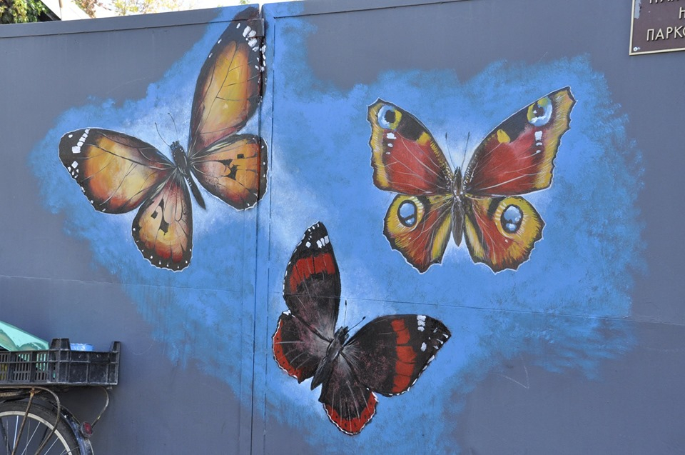 В Старобельске на одной из улиц появилась картина с яркими бабочками: фото