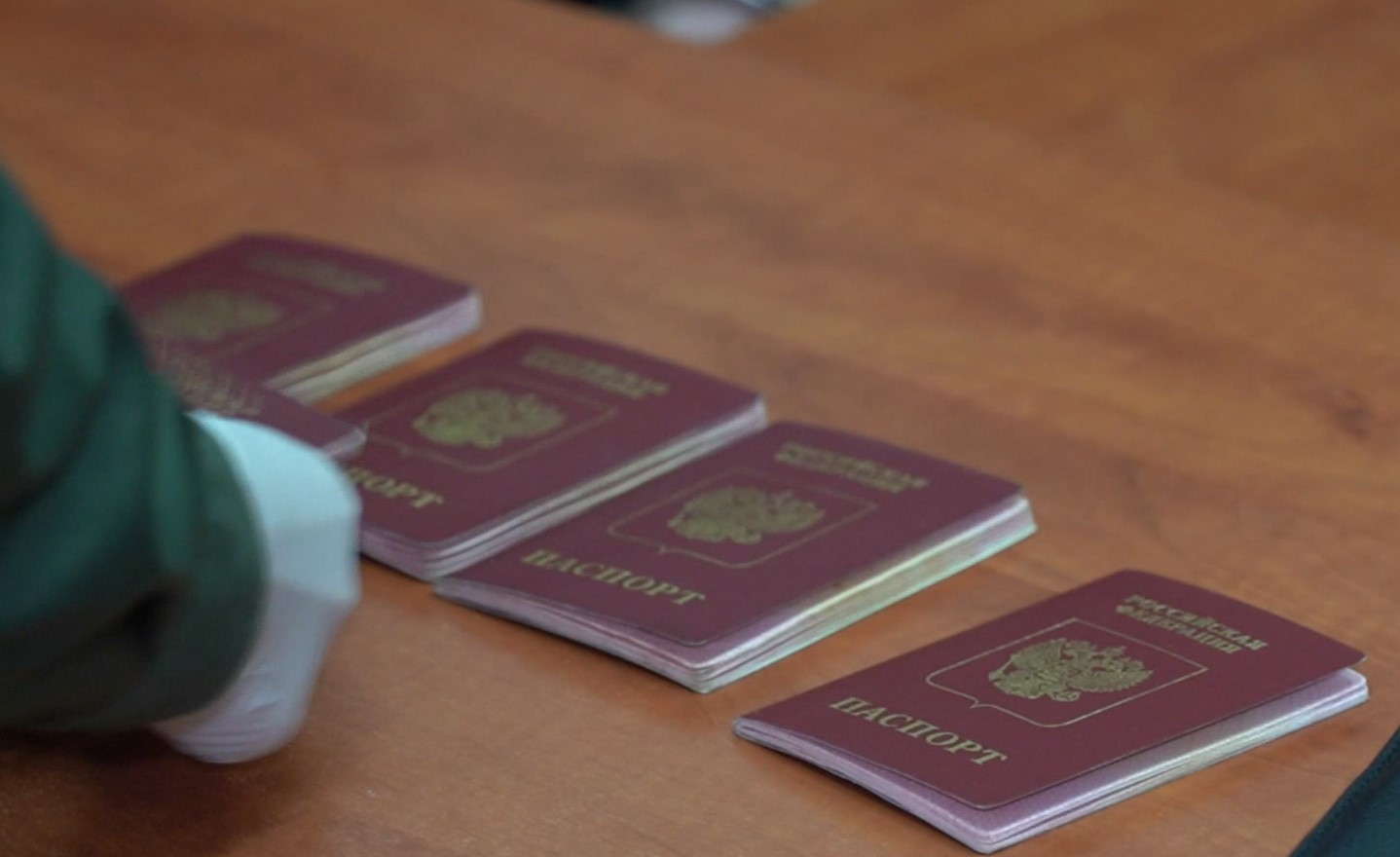 В "ЛНР" к концу октября запустят электронную очередь для получения паспортов РФ