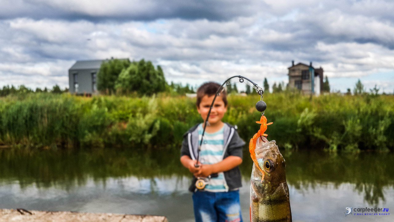 В Краматорске пройдет чемпионат по рыболовству "Fanatik-Юниор": как принять участие