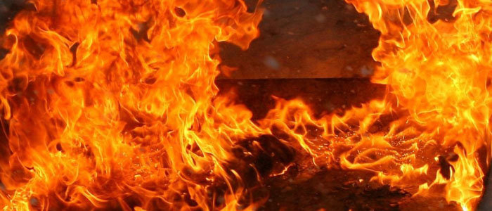 В "ДНР" возобновились масштабные пожары, количество жертв возросло