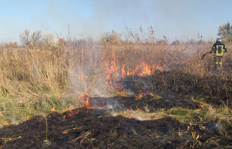В Донецкой области горели 100 квадратных метров сухой травы