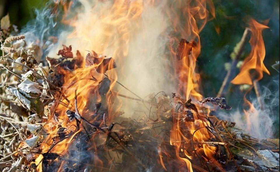 В Мариуполе создали группу по предотвращению сжигания опавших листьев
