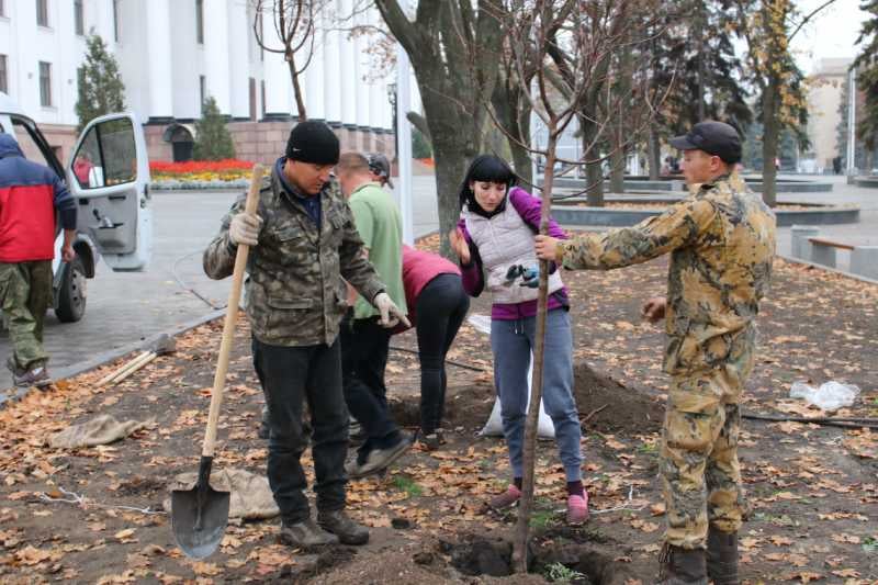 Главную площадь Краматорска озеленяют