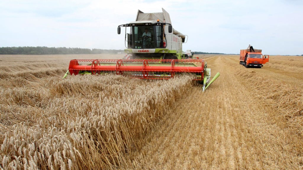 На Донетчине объем производимой сельхозпродукции увеличился почти на 17%
