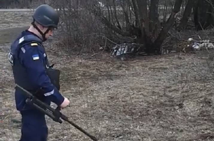 В Донецкой и Луганской области на наличие взрывоопасных предметов проверено порядка 5 гектар