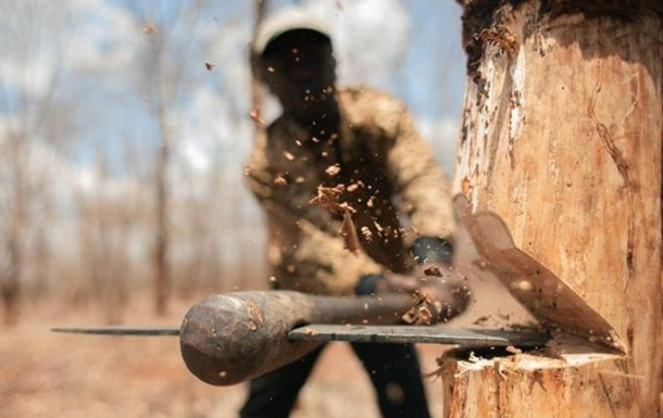 "Черные лесорубы" оставили без света два села в Луганской области