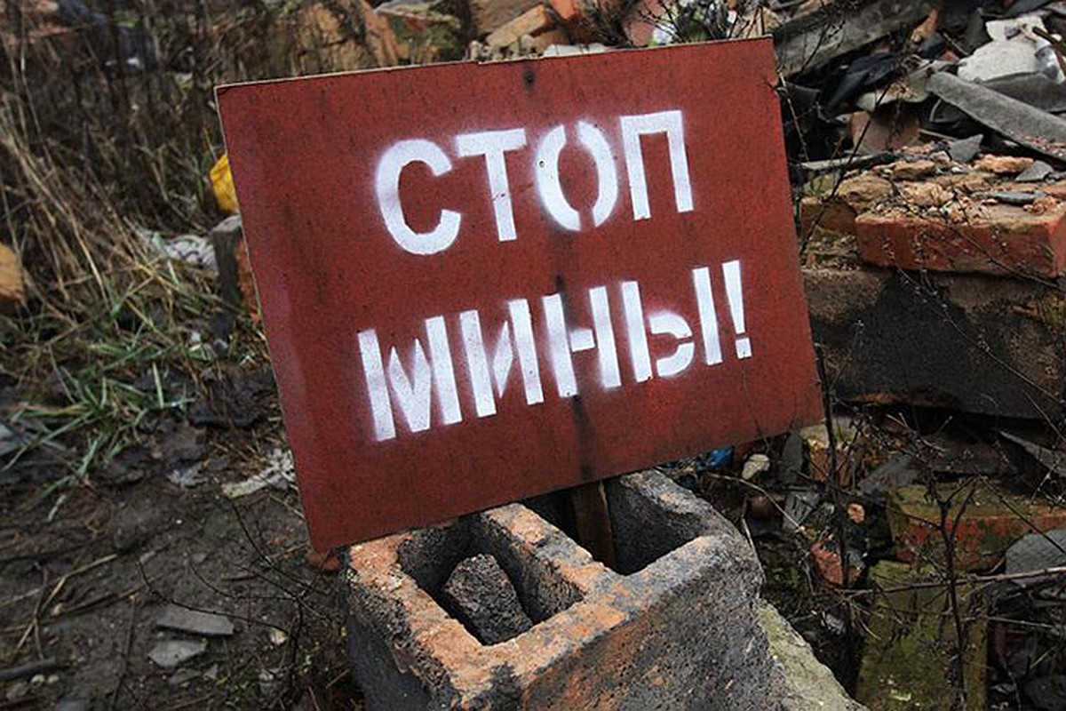В ООН назвали количество людей, подорвавшихся на минах на Донбассе с 2014 года