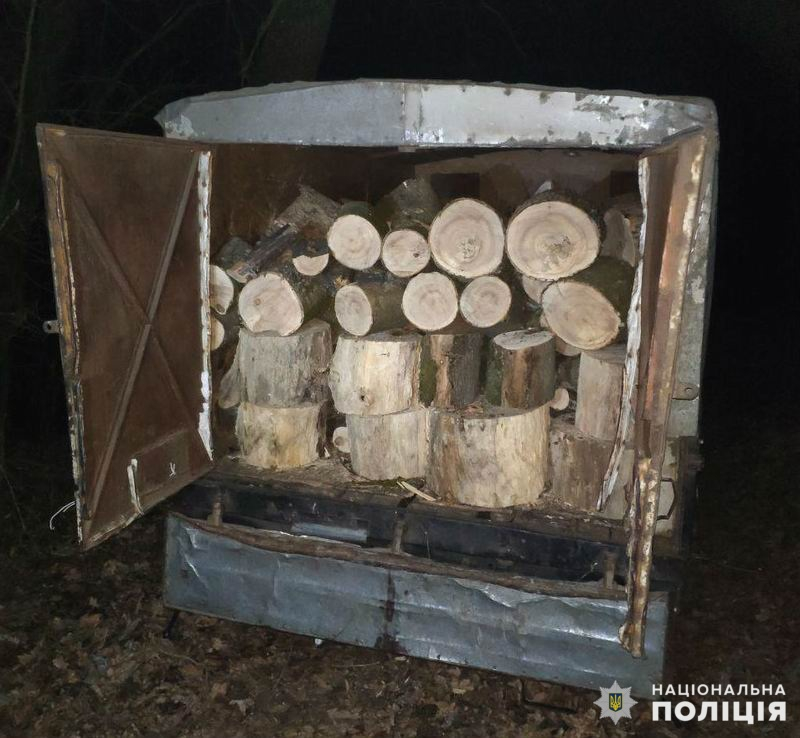 Под Славянском полиция задержала нелегальных лесорубов