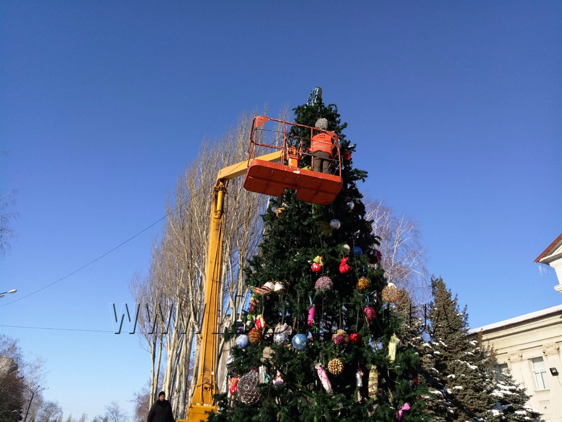 В Покровске приобрели новую городскую елку за миллион гривень