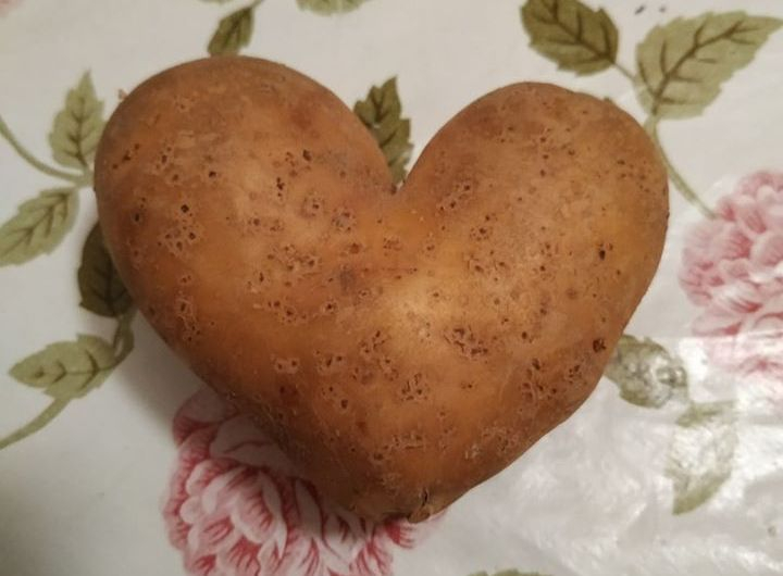 В Мирнограде вырос картофель необычной формы