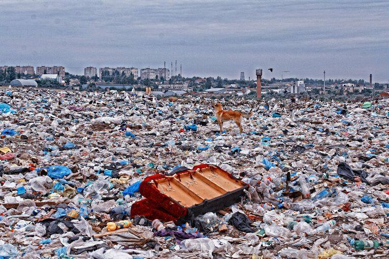 В Северодонецке полигон отходов исчерпал свой ресурс, экологи бьют тревогу