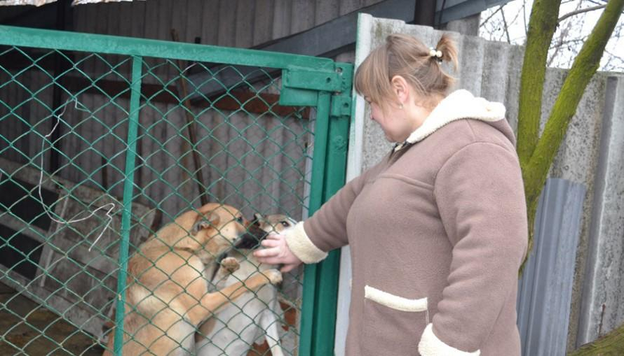 В Мирнограде волонтер собирает средства на базу для бездомных животных
