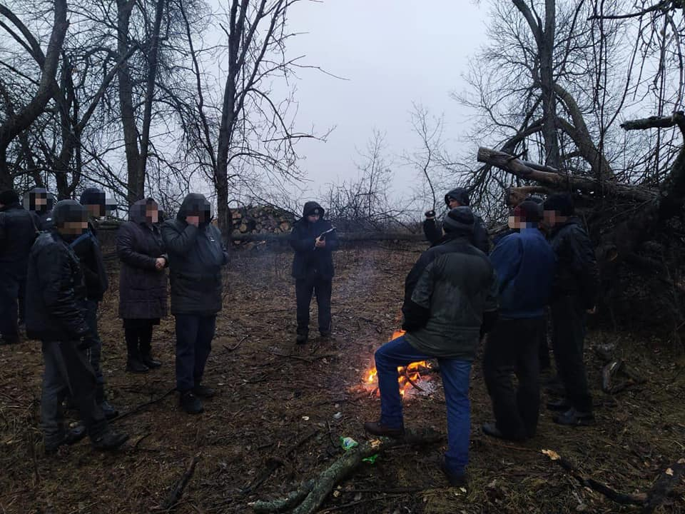 15 кубометров дров: на Луганщине полиция задержала "черных" лесорубов