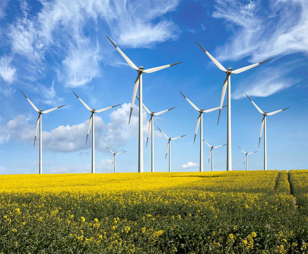 В Приазовье к 2026 году планируют возвести ветропарк мощностью 800 МВт