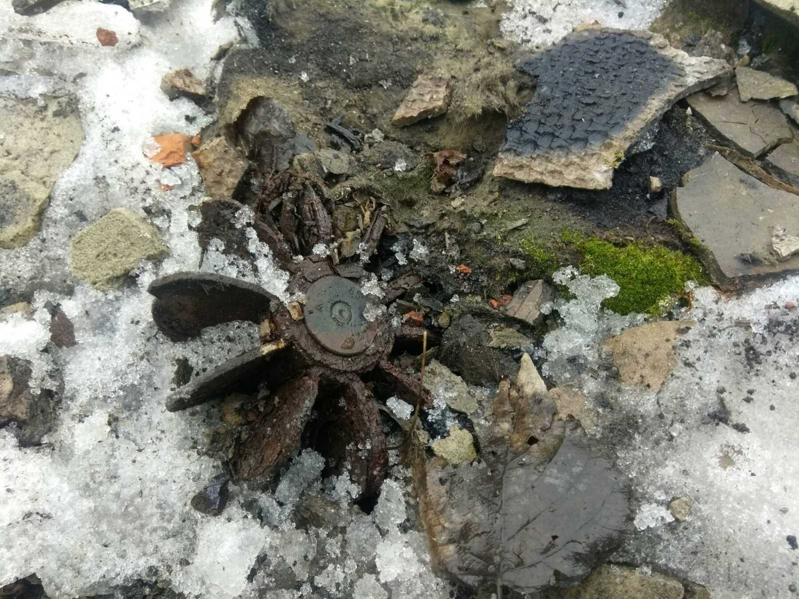 В Семеновке под Славянском нашли минометную мину 82 мм