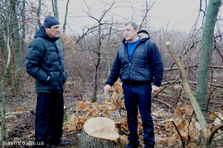 В Черкасской ОТГ Донетчины за ночь уничтожили более 100 деревьев