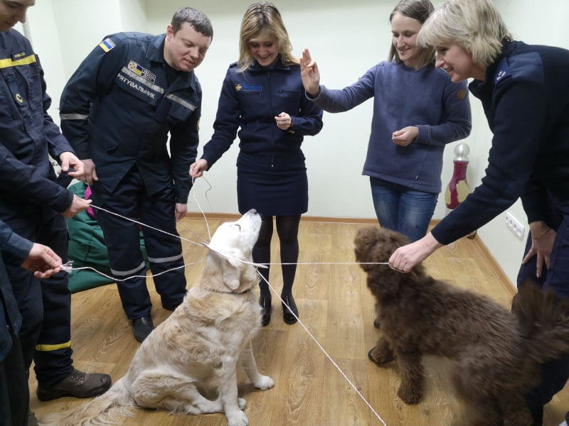 Для сотрудников ГСЧС Донецкой области проводят сеансы терапии с участием собак