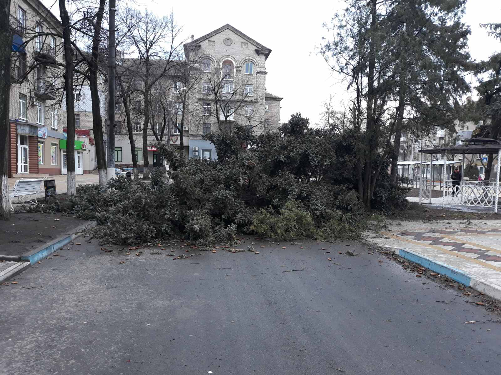 В Дружковке из-за ветра обесточена часть города