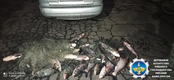 Возле Славянска задержали браконьеров с 300 кг рыбы