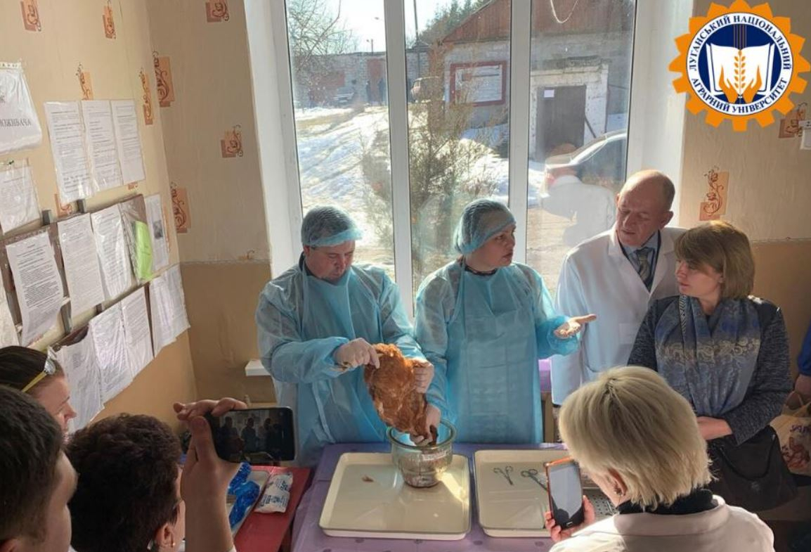 Луганская Госпродпотребслужба прошла тренинг ЛНАУ по диагностике гриппа у птицы