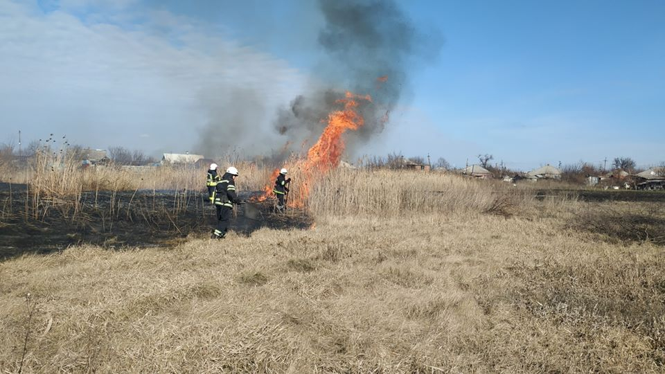 За сутки на Луганщине спасатели потушили пожары на площади более 23 га
